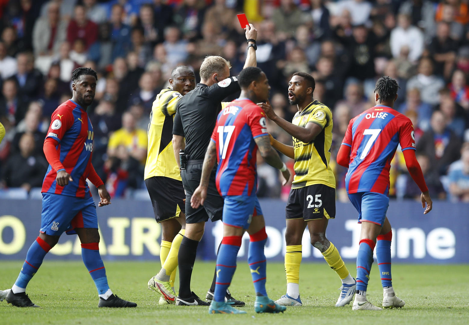 日处理60T动物油熬练生产线