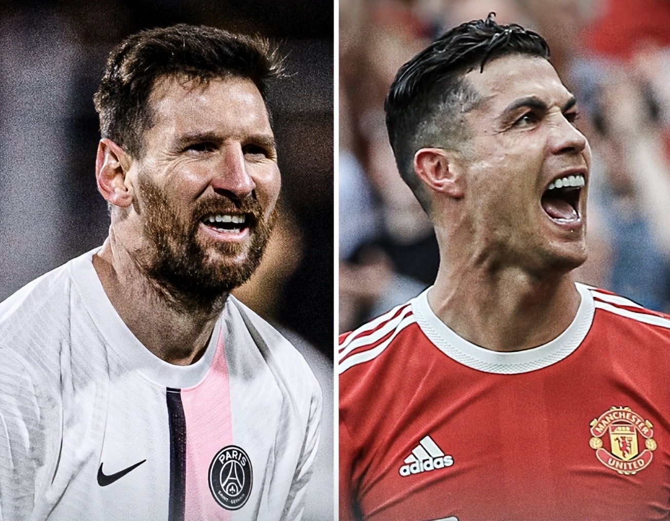 30吨植物油精炼设备