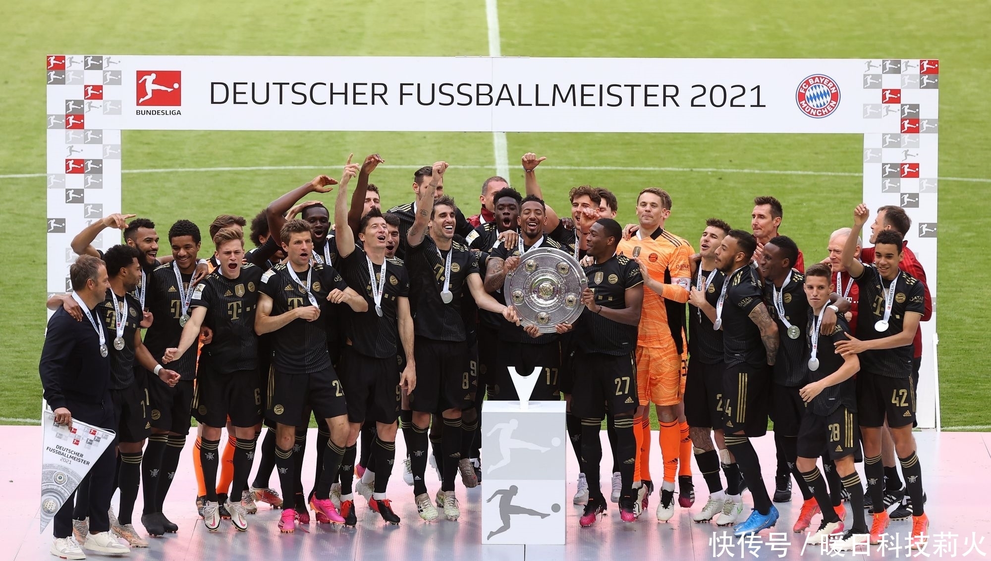 米糠油成套设备,油料油脂工程